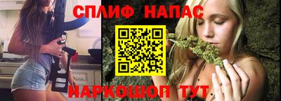 стафф Камышлов