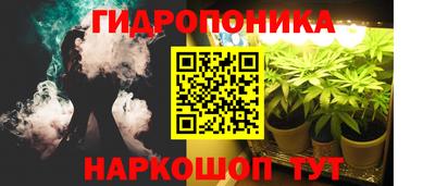 гидропоника Канаш