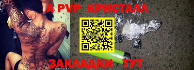 стафф Камышлов
