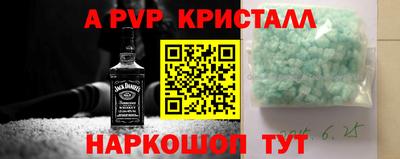 стафф Камышлов