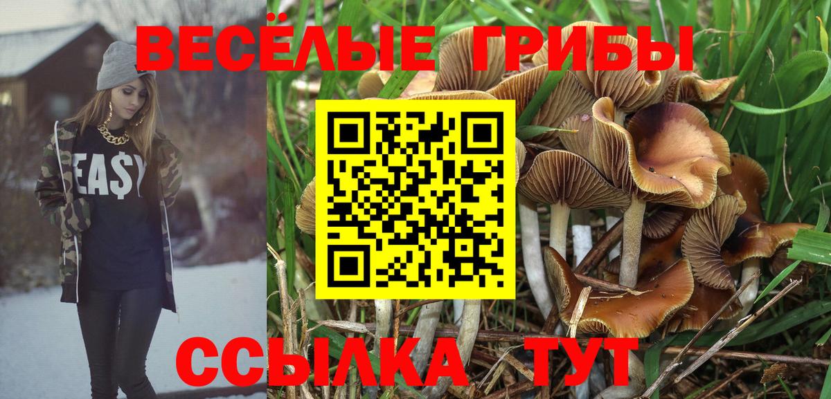 Якутск  закладка  Вход с VPN  Псилоцибиновые грибы Cubensis 