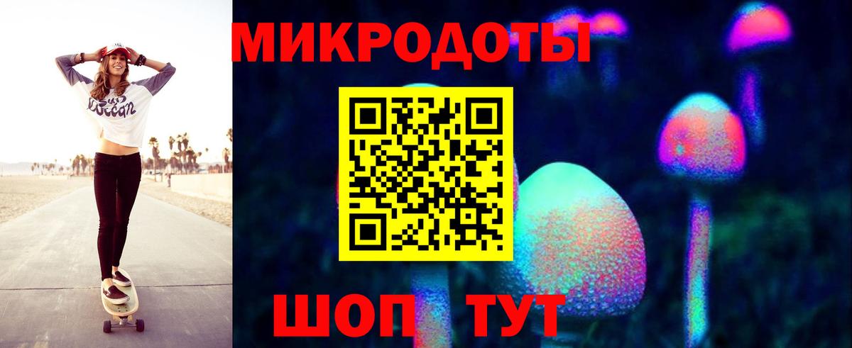 Галлюциногенные грибы Psilocybine cubensis Якутск